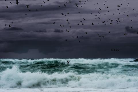 surf d'enfer, photographie de pierre moreau
