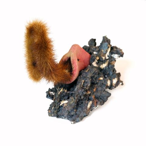 rolet - “vaudou” (suite), mâchefer, cactus et plâtre peint, 25x15x10cm, 2013